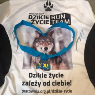 Niebieskie serce. Iza Kotik z naszego teamu startowała w Leiden Marathon w Holandii, maj 2016