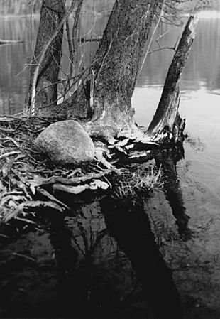 Fot. Dariusz Matusiak