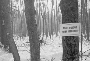 Dolina Wapienicy, luty 2003. Fot. Dariusz Matusiak