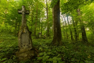 
Po wsiach, które tętniły do 1945 roku życiem, pozostały już tylko cmentarze, takie jak ten w Borysławce. Fot. Tomasz Nabiałkowski / Fundacja Dziedzictwo Przyrodnicze
