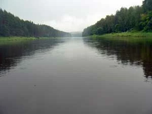 Niemen. Fot. Ryszard Kulik