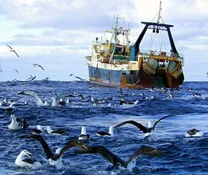 © Greenpeace