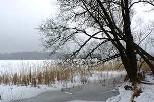 
Jezioro Sajno. Fot. vmario, flickr.com

