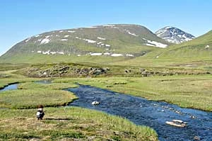 Anna Nacher podczas rejestracji dźwięków otoczenia w górskiej tundrze Sápmi w Laponii – nagrania opublikowano na CD „Vággi Várri – tundra soundwalk”. Fot. Marek Styczyński