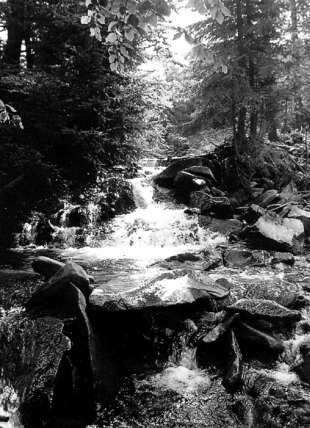 Fot. Paulina Adamska