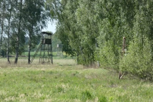 Ambony i zwyżka na łące pod Lewinem Brzeskim. Fot. Kazimierz Ożóg