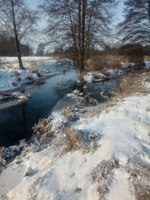 Tej zimy zbieg Miedzy i Wolbórki. Fot. Krzysztof Pilarski