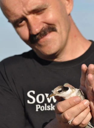Marek Pióro