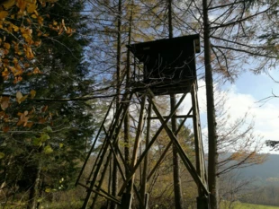 Ambona, Darów, Beskid Niski. Fot. Grzegorz Bożek