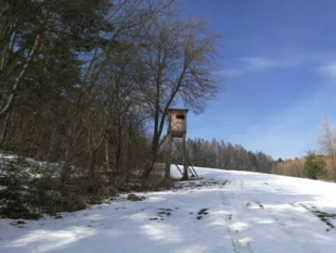 
Ambona w Desznie w Beskidzie Niskim. Fot. Grzegorz Bożek
