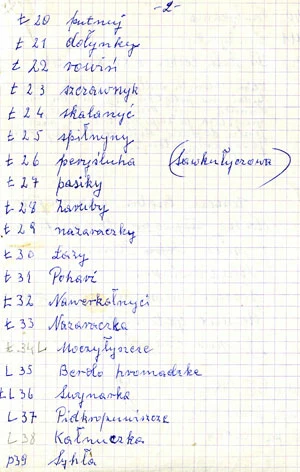 Przysłup – wykaz dawnych nazw (Jerzy Sywanycz, Czaplin Wielki, luty 1995 r.). Archiwum Wojciecha Krukara