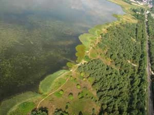 Jedna z ostatnich naturalnych enklaw brzegu Półwyspu Helskiego. Rejon rezerwatu „Słone łąki” w rej Władysławowa. Fot. archiwum autorów