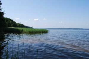 Rzeka Teterew. Fot. Oleksandr Panczuk