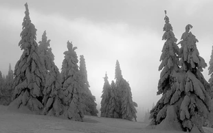 Fot. Jacek Zachara
