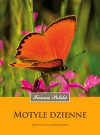 „Motyle dzienne” – okładka książki