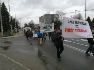 Przemarsz przez ulice Krosna pod siedzibę RDLP, 11 marca 2023 r. Fot. Grzegorz Bożek