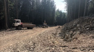 Budowa nowej drogi leśnej w Masywie Lubomira w Beskidzie Wyspowym. Fot. Piotr Knaś