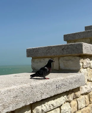 Fot. Dagmara Stanosz