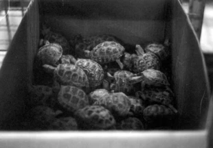 Fot. Archiwum Ośrodka Działań Ekologicznych Źródła