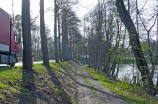 Zmiany w krajobrazie: drzewa rosną przy drodze i nad brzegiem jeziora. Fot. Krzysztof A. Worobiec