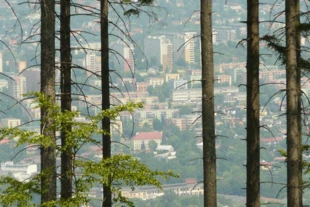 Bielsko-Biała, widok z Koziej Góry. Fot. Ryszard Kulik
