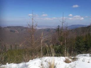 Widok spod Klimczoka w stronę Bystrej Górnej, w oddali Bielsko-Biała. Nawet w ten dzień smog był powyżej normy, 25 marca 2018 r. Fot. Grzegorz Bożek