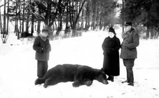 J.Karpiński, A.Karpińska i leśniczy R.Jasiński przy niedźwiedziu zastrzelonym przez K.Steinhagena w Białowieży. Fot. udostępnione przez Maję Mężyńską, wnuczkę prof. Karpińskiego