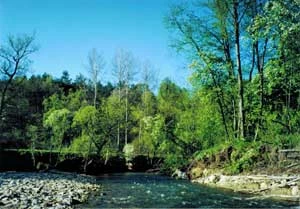 Wiar w rejonie wsi Trójca, 1999 r. Fot. Grzegorz Bożek