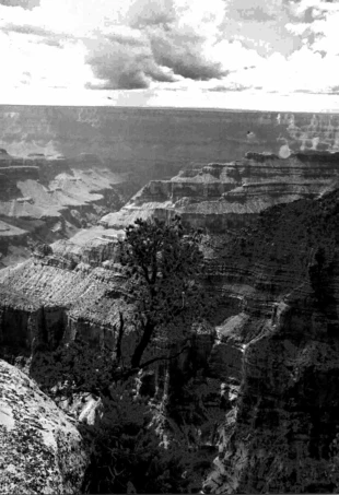 
Wielki Kanion w Stanach Zjednoczonych. Fot. Aleksandra Gałuszka
