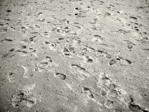 Fot. luisar, flickr.com