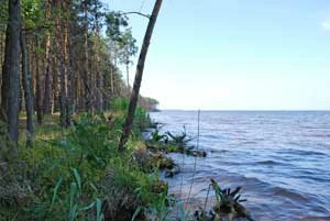 Rzeka Teterew. Fot. Oleksandr Panczuk