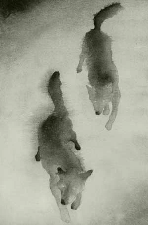 Fryderyk Rudziński, rysunek tuszem