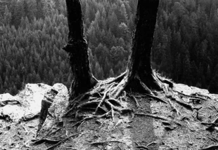 Fot. Katarzyna Mular