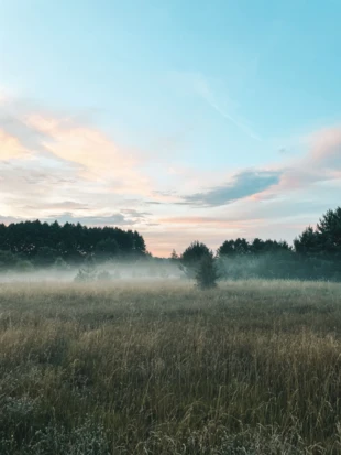 Pierwsze wiosenne mgły. Fot. Anna Kron-Barcikowska