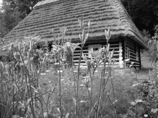 Fot. Adam Będkowski