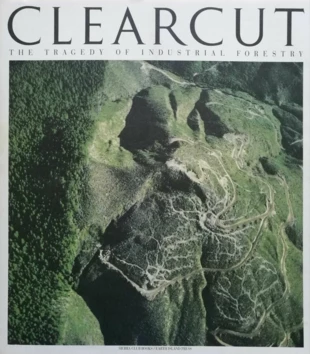 Album Clearcut