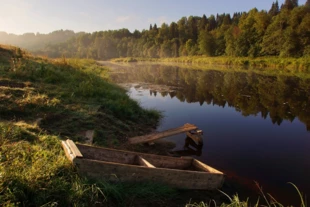 
Wepskie Lasy, w których staraniem S.A. Dyrenkowa utworzony został w 1970 r. rezerwat Wepski Las, źródło: strona internetowa Parku Narodowego Wepski Las http://www.vepsles.spb.ru/foto
