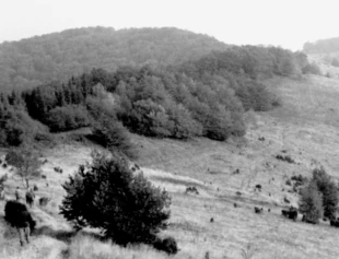 
Bieszczady. Fot. Grzegorz Bożek
