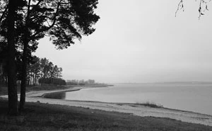 Zalew Siemianówka w okolicach wsi Stary Dwór. Fot. Janusz Korbel
