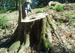 Olimpijskie dziedzictwo. Fot. Andrej Rudomacha