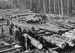 Czerlonka, grudzień 1917 r. Reprodukcja z „Bialowies in deutscher Verwaltung”
