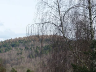 Radostowa współcześnie. Fot. Łukasz Misiuna