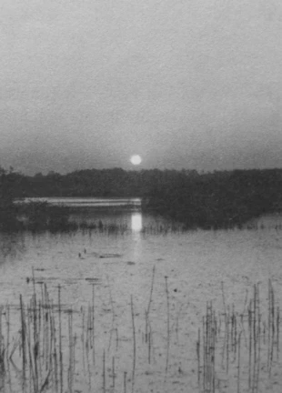 Wschód nad Rozlewami. Fot. Andriej Abramčuk