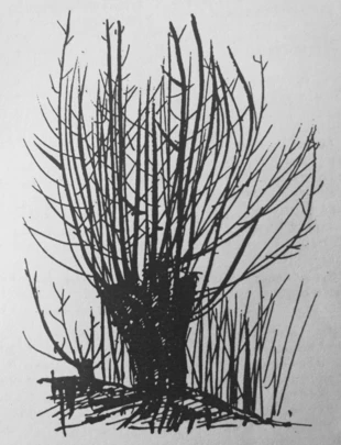 Źródło: Raport Pracowni na rzecz Wszystkich Istot, nr 4, 1990