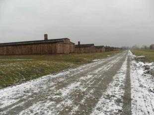 
Auschwitz-Birkenau II, Brzezinka. Główny trakt prowadzący do krematoriów. Fot. Dagmara Stanosz
