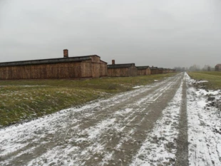 Auschwitz-Birkenau II, Brzezinka. Główny trakt prowadzący do krematoriów. Fot. Dagmara Stanosz