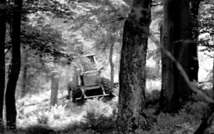 Fot. Radosław Ślusarczyk