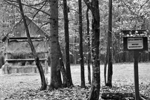 Paśnik dla żubrów. Fot. Janusz Korbel