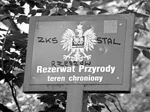 Lisia Góra, wejście do rezerwatu ul. Leśna. Fot. Leszek Dąbal