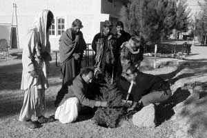 Sadzenie drzew w Parku Merghundi w mieście Kweta (Quetta) w Pakistanie (prowincja Beludżystan) w towarzystwie konserwatora gleby. Fot. Archiwum „We need trees”